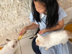 -平行世界·猫咖(首经贸店)