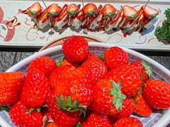 -德唯森环球美食自助料理(泉舜店)