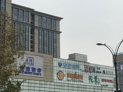 -蓝钻天成