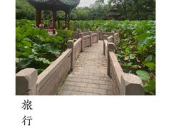 -房湖公园