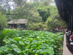 -成都武侯祠博物馆