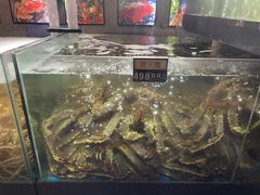 -蟹之国·精品蟹料理(极地店)