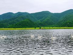 -大九湖