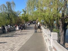 -翠湖公园