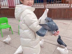 -陕西自然博物馆