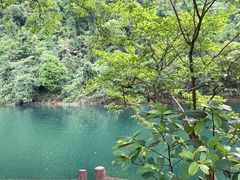 -鼎湖山风景区