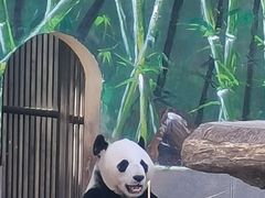 -南昌动物园