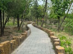 -白水寺森林公园