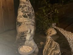 -小茶闲舍·观景商务茶馆(广州塔店)