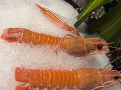-万岛日本料理铁板烧(梅赛德斯奔驰店)