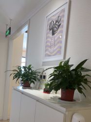 -SILKTONE诗丽堂美容