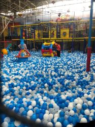 -爱丽丝奇幻乐园