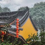 山林茶海觅神隐 人世浮沉欲法喜