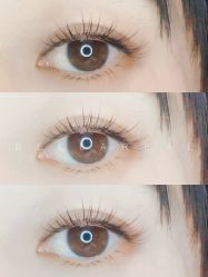 -BELLAREAL新美社