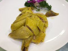 -金龙渔港(双楠店)