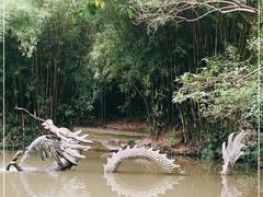-汇龙潭