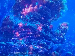 -海合安武汉极地海洋公园