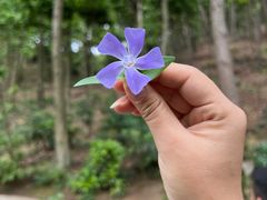 -黔灵山公园