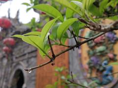 -渭南桃花源民俗文化园