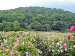 -龙寺生态园