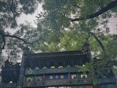 -北京国子监胡同