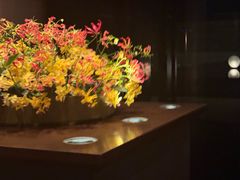 -三亚太阳湾柏悦酒店