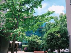 -徐家汇源景区-衡山坊