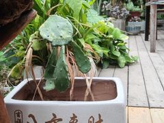 -田园印象·成都土菜院子(华阳店)