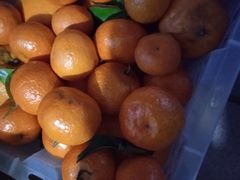 -百果园(徐东兴华店)