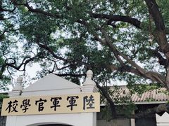 -长洲岛