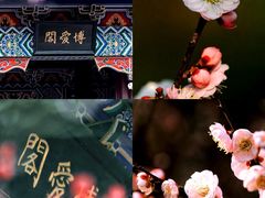 -梅花山(明孝陵内)