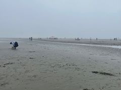 -江山半岛白浪滩景区