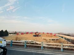 -合肥滨湖国家森林公园