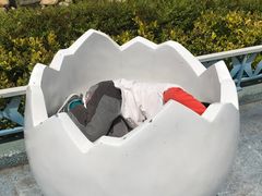 -上海海昌海洋公园