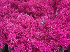 -石家庄正定国际机场-T2航站楼