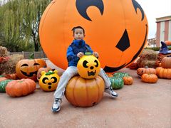 -沈阳方特欢乐世界