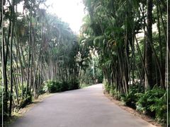 -田心森林公园