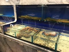 -北李妈妈菜·海肠捞饭(高新万达店)