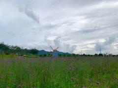 -美的鹭湖探索王国