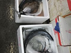 -老字号蛇口德记烧腊饭店·海鲜加工