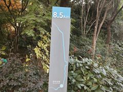 -上海吴淞炮台湾国家湿地公园