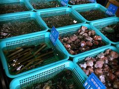 -浩运·海鲜青岛菜·海胆水饺(石老人店)