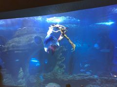 -多彩贵州城极地海洋世界