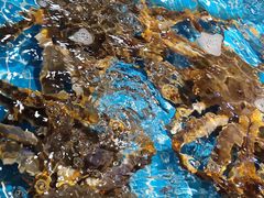 -三亚火车头万人海鲜广场