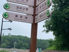 -佛手湖郊野公园