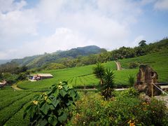 -优游吧斯邹族文化部落