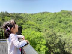 -南京市无想山景区