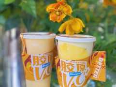 -Blueglass酸奶(上生新所店)