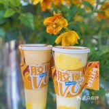 酸奶界里的爱马仕又出新品啦✔️鎏金胶原VC酸奶