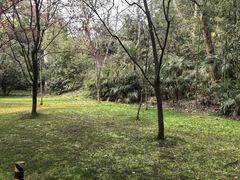 -东湖宾馆-中餐厅